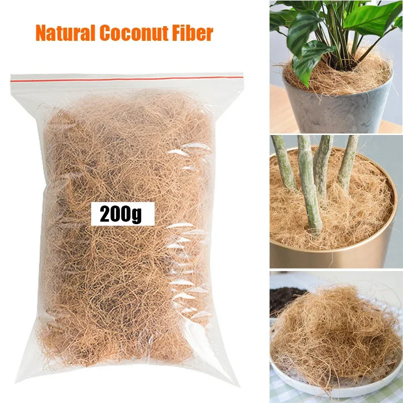 Tissue Culture Plant - 天然ココナッツハスク繊維植木鉢カバー防虫保護庭の花植物土壌保温爬虫類寝具鳥の巣