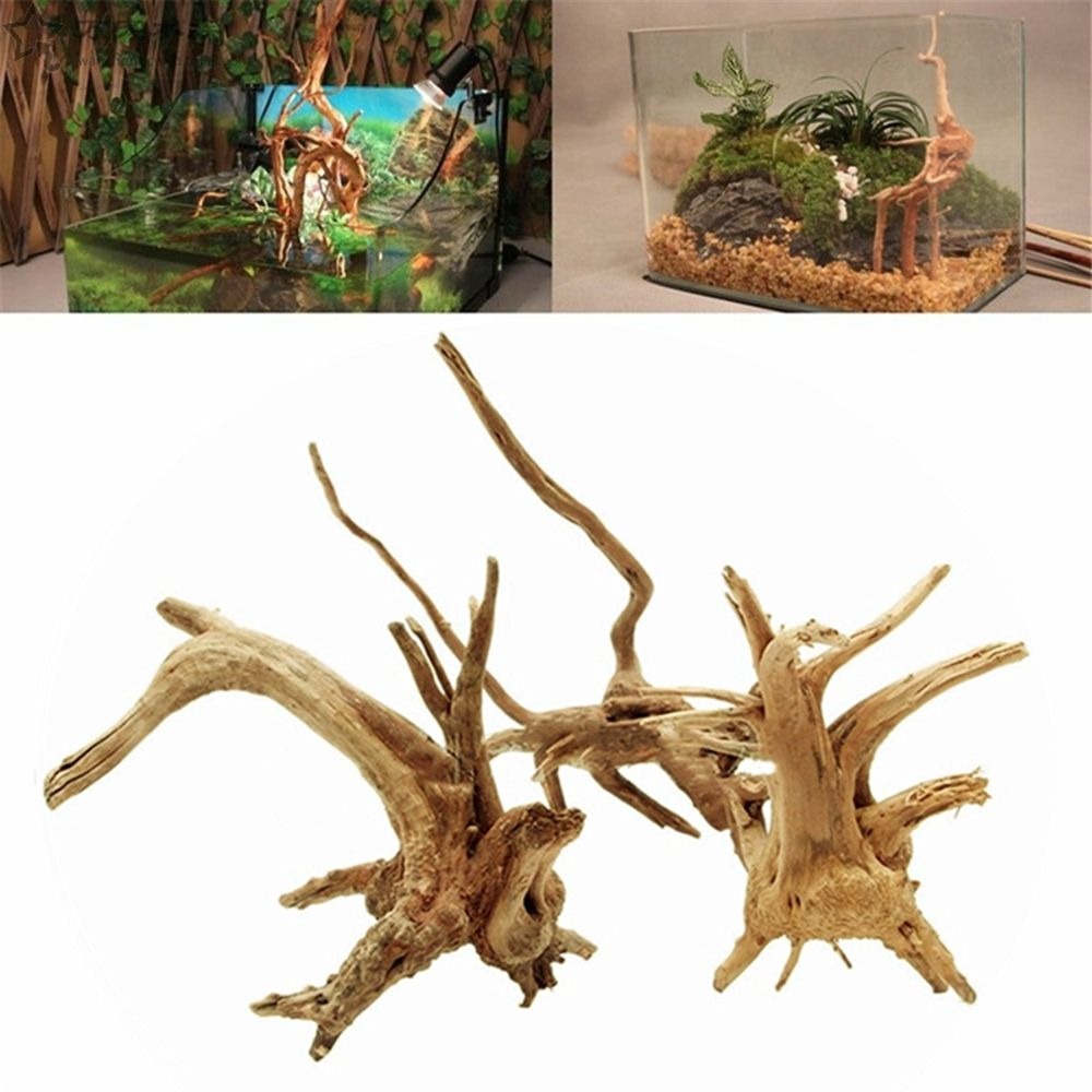 Aquarium Plant Root Tabs - 木製の水槽の装飾,新しい天然の木の装飾,海種の木,水族館の装飾