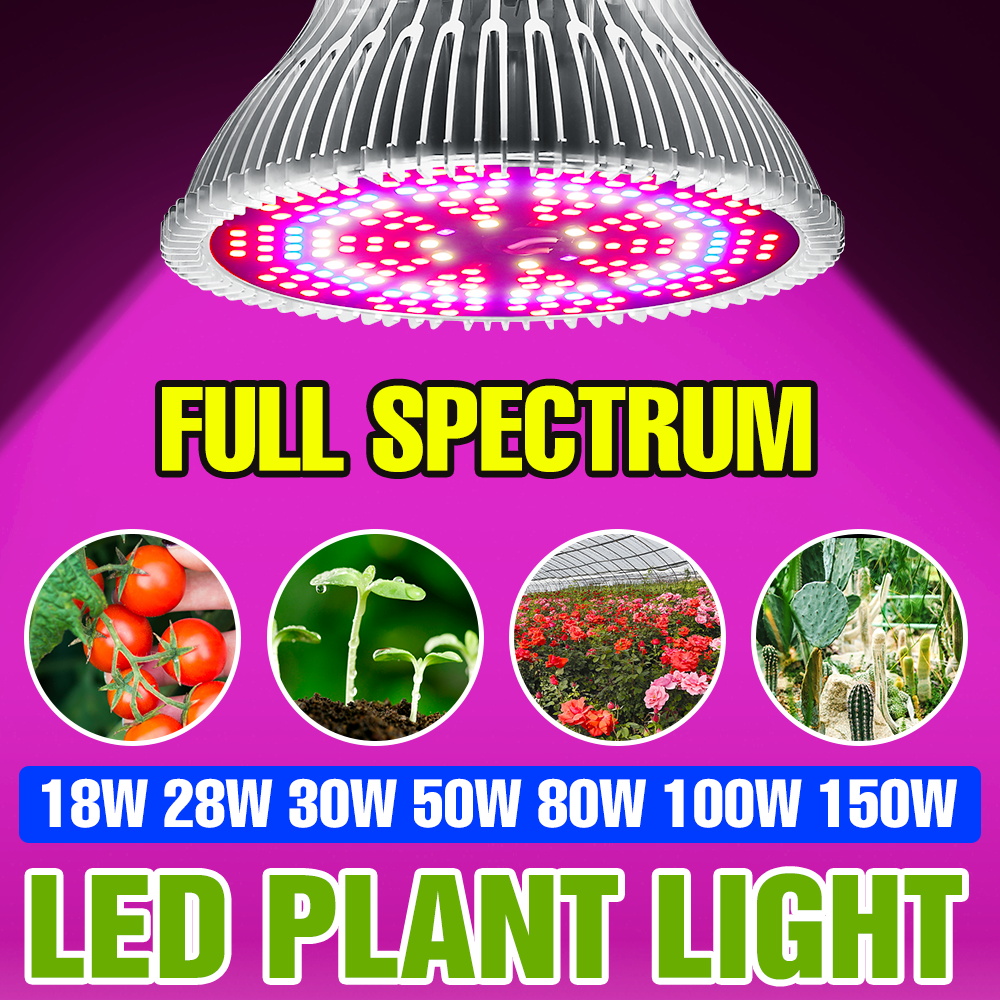 Aquarium Plant Root Tabs - 150W E27 フルスペクトル植物育成電球 室内LED水耕栽培ボックス E14 温室テント