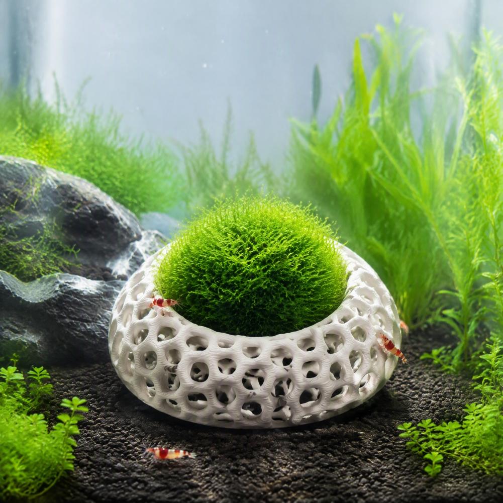 Planted Aquarium Moss - 小型エビ用の生息環境セット（2個入り）。水槽用のエビ用洞窟。丸い隠れ家で、チェリードワーフエビやモス、アヌビアスなどの水草を飾るのに最適。水槽の装飾にも。