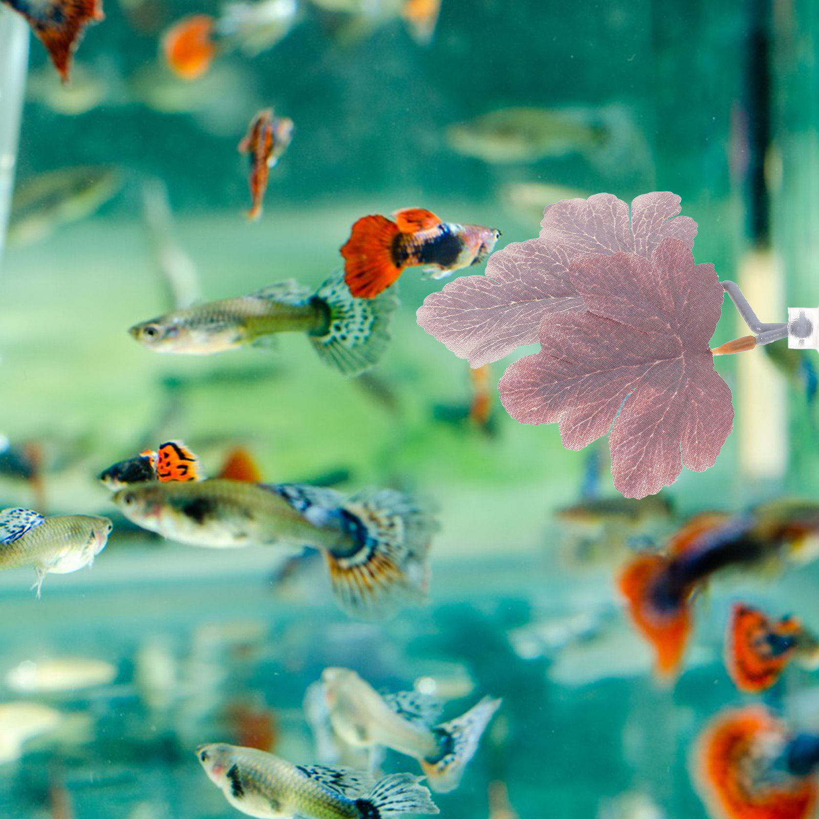 Planted Aquarium Betta - ベタ魚用リーフハンモックパッド。水槽の装飾や繁殖、休息場所として最適な、リアルな人工水生植物。水質を安全に保ちます。
