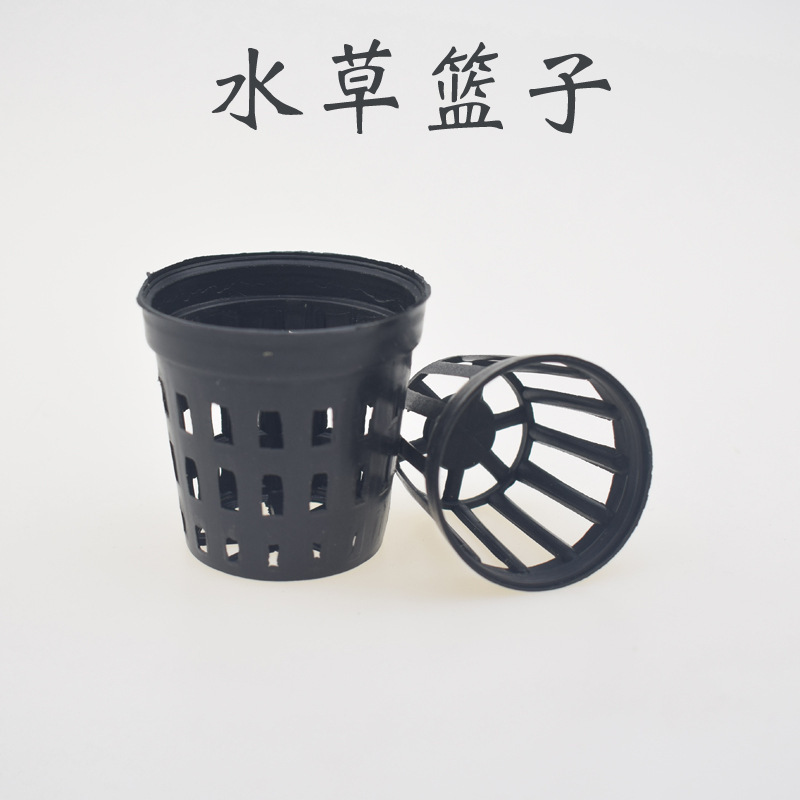 Tissue Culture Plant - 園芸用プラスチック植物バスケット,5個ピース/ロットバッチ,植物用植物包装,中の水処理用