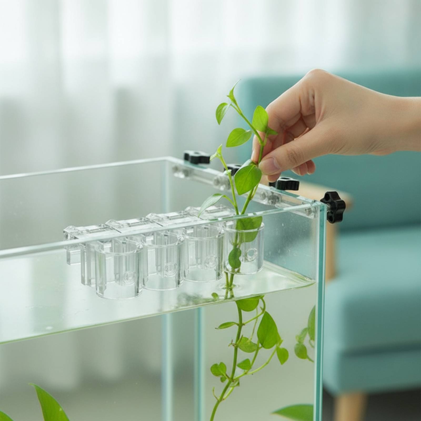 6個入り水槽プランター クリア水耕栽培サポートクリップ ネジ - Aquarium Planted Aquarium のレビューと価格