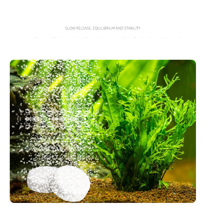イスタフィッシュタンクco水族館2タブレット低速リリース植物 - Planted Aquarium Without Co2 のレビューと価格