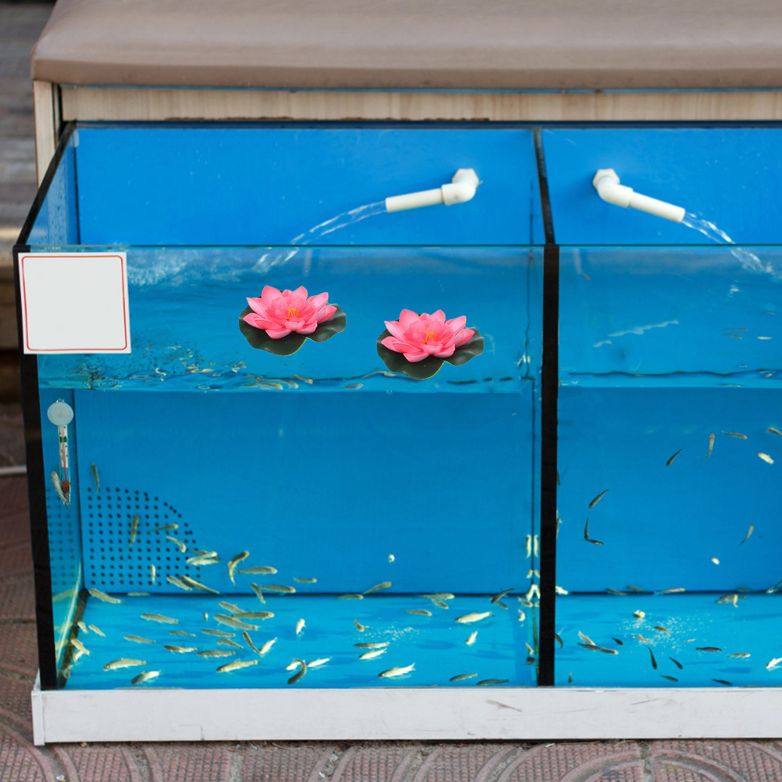 池、プール、噴水、水槽、庭の装飾に使える、リアルな造花の水生 - Aquarium Planted Aquarium のレビューと価格