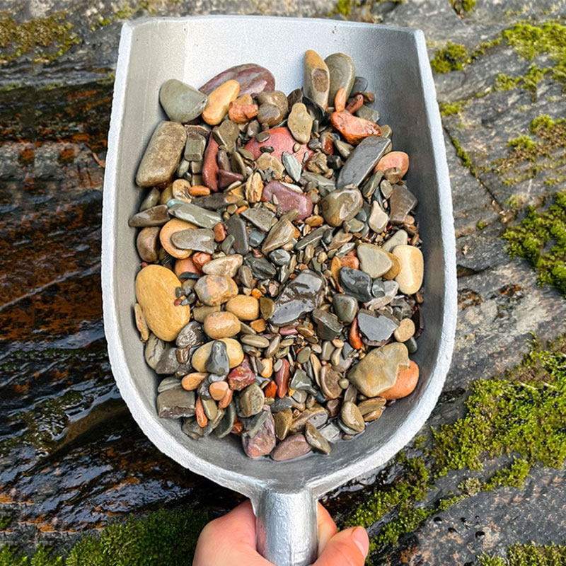 500 グラム水槽底砂石水族館風景ネイティブストリーム天然砂 - Planted Aquarium With Sand のレビューと価格