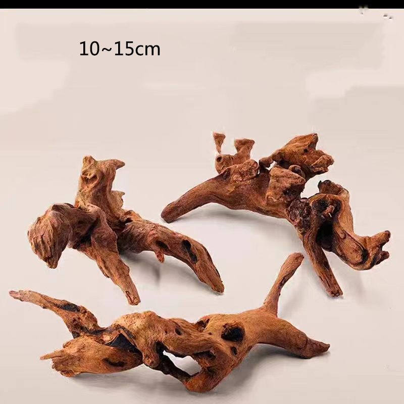 自然な木のトランクの装飾、日焼け木のイラスト、造園の装飾品、 - Aquarium Plant Root Tabs のレビューと価格