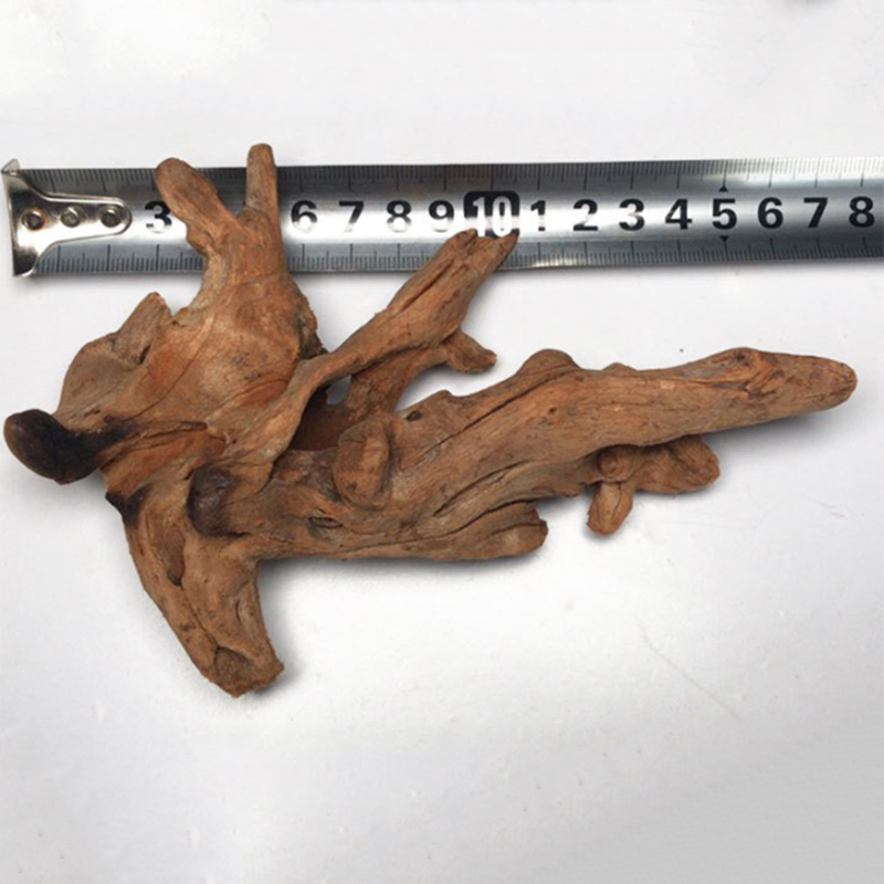 自然な木のトランクの装飾、日焼け木のイラスト、造園の装飾品、 - Aquarium Plant Root Tabs のレビューと価格
