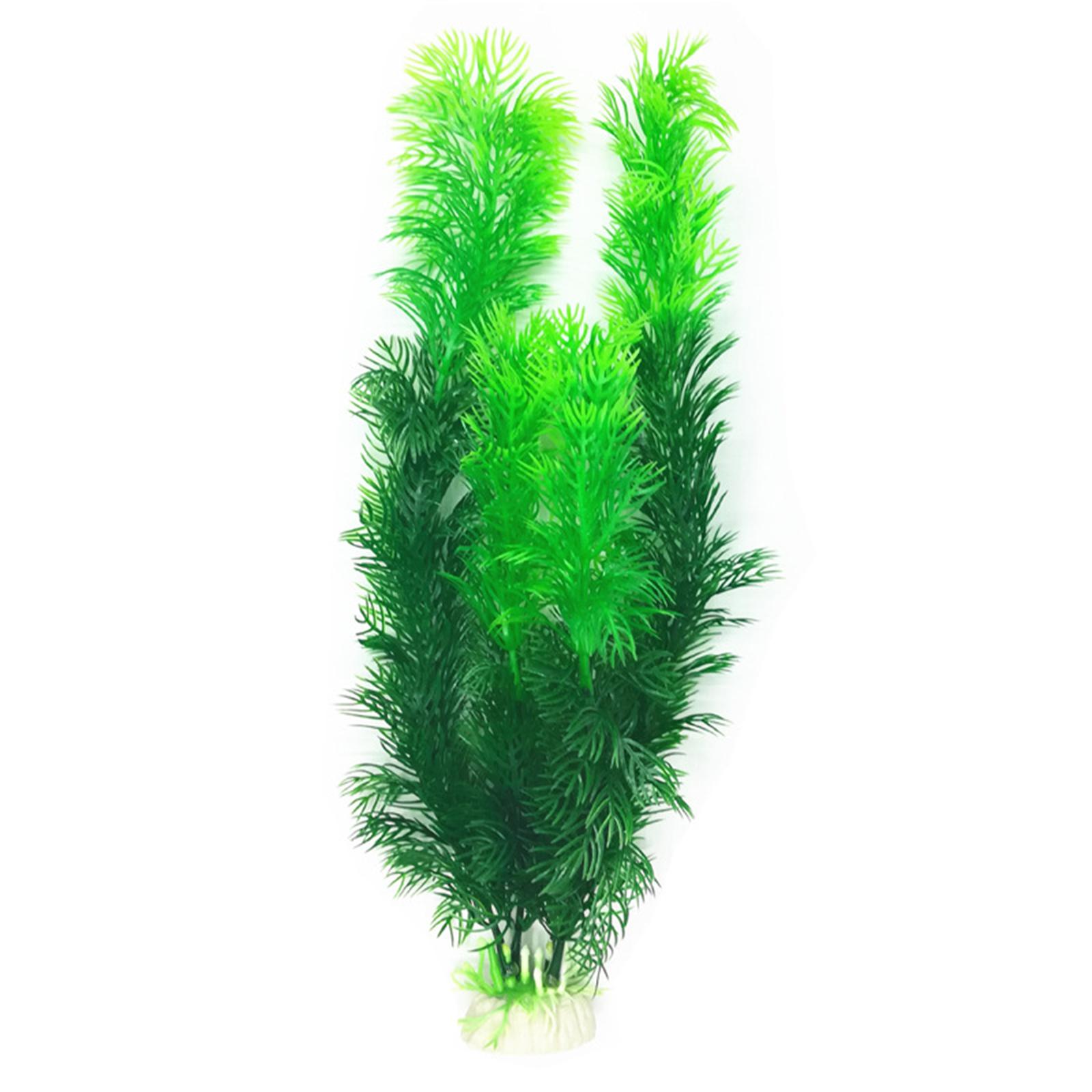 人工水槽植物セット プラスチック製水槽装飾品 リアルな装飾品 - Planted Aquarium Betta のレビューと価格