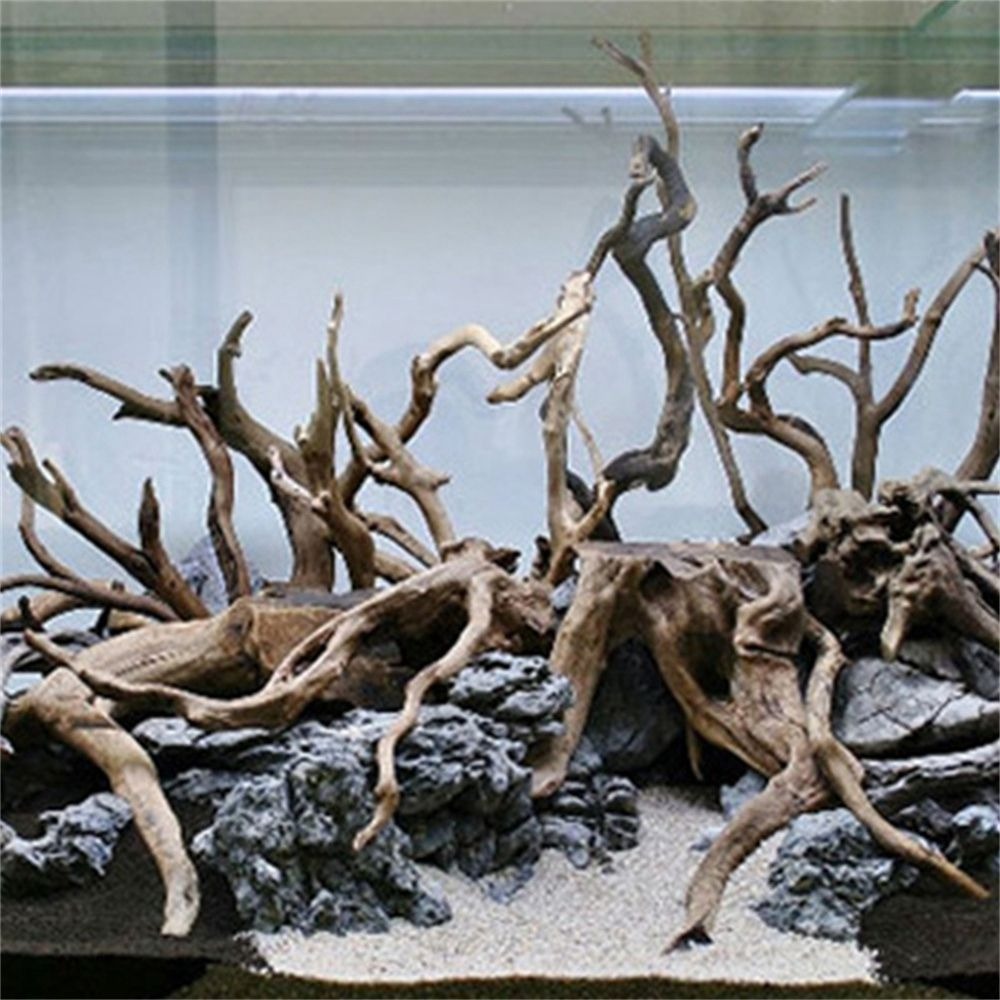木製の水槽の装飾,新しい天然の木の装飾,海種の木,水族館の装 - Aquarium Plant Root Tabs のレビューと価格