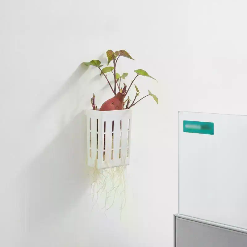 水耕栽培用サポートバスケット1個、水槽用植栽カップ、水草水生 - Aquarium Planted Aquarium のレビューと価格