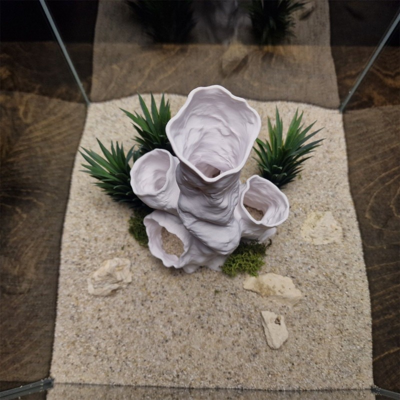 ホットセール 3Dプリント サンゴトンネル 隠れ家 植物イン - Planted Aquarium Betta のレビューと価格