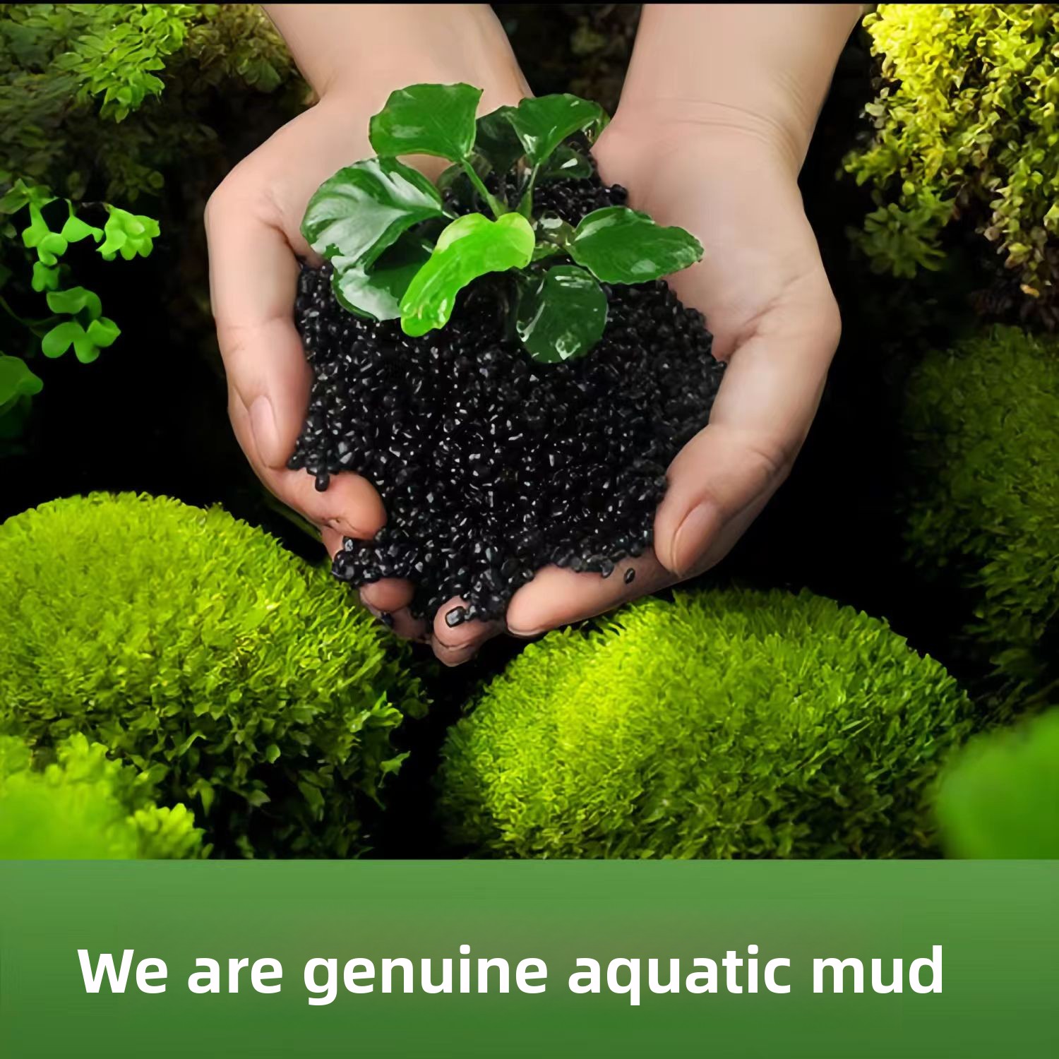 セラミック不使用の水生植物用土、水槽装飾用砂、黒色の粘土。水 - Planted Aquarium With Sand のレビューと価格