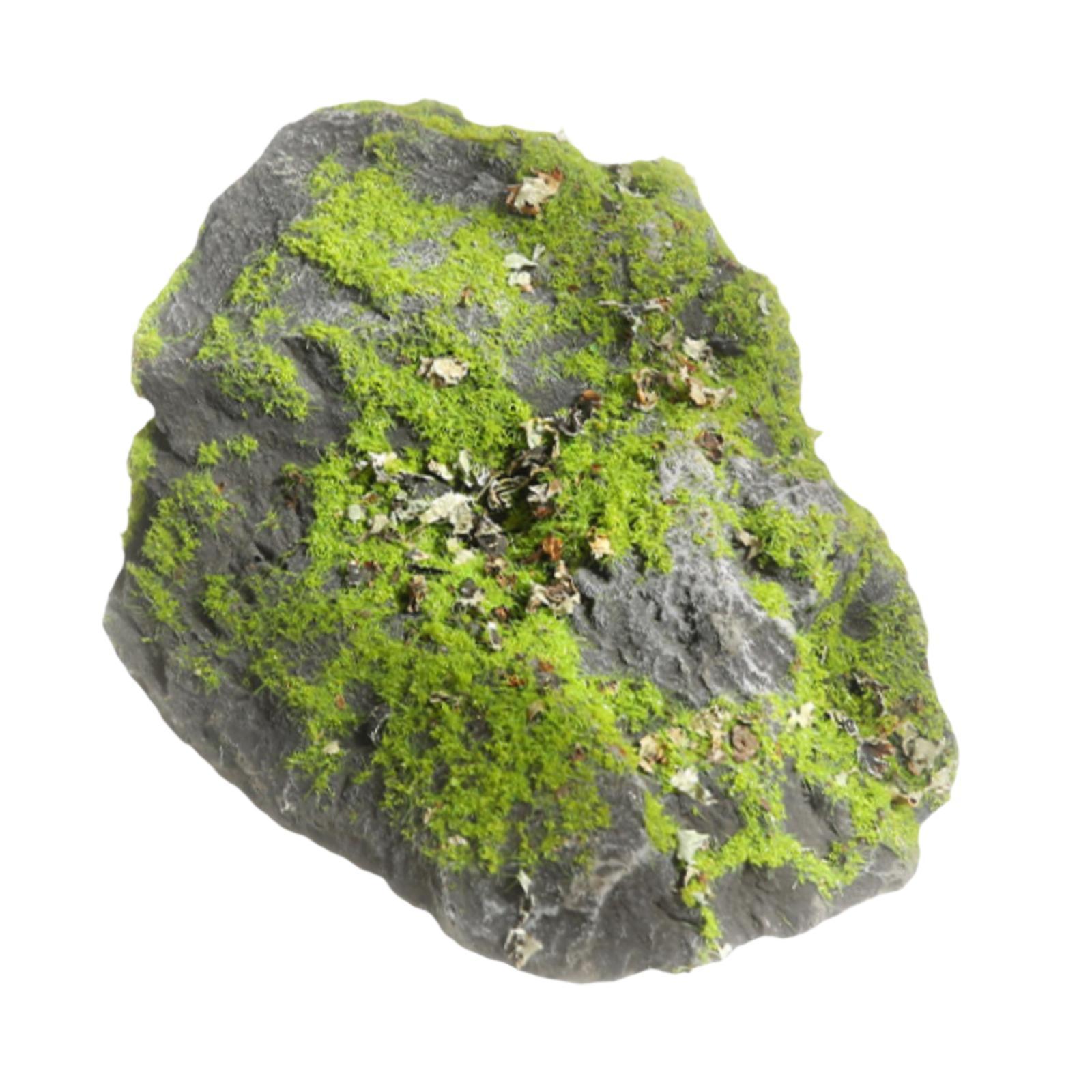 人工苔石 リアルな緑の地衣類 岩の装飾 ミニチュアガラス水槽 - Planted Aquarium Moss のレビューと価格