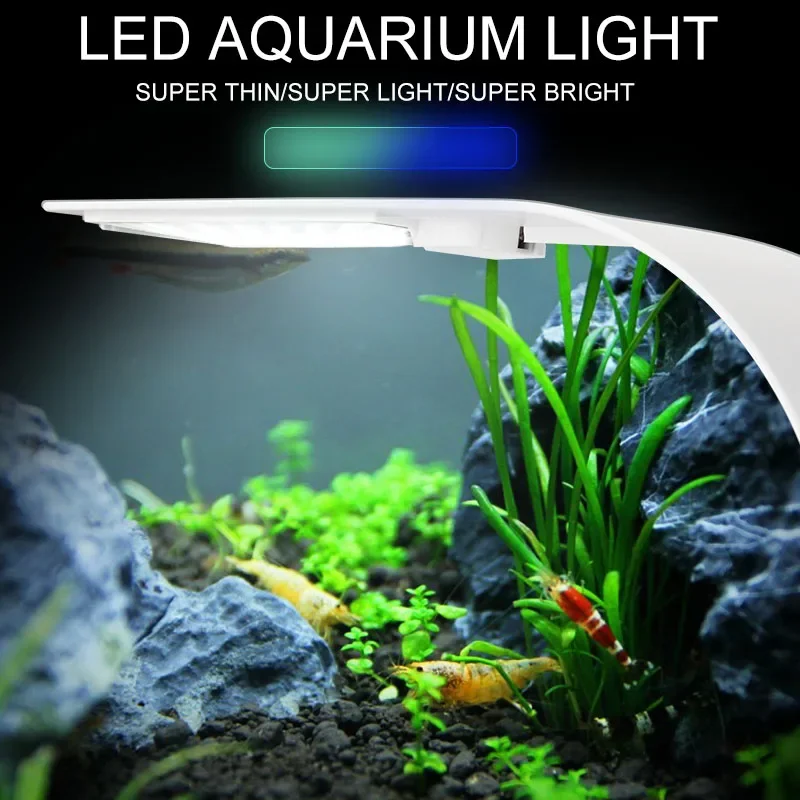 スーパースリム LED 水族館ライト照明植物成長ライト 5  - Planted Aquarium Pictures のレビューと価格