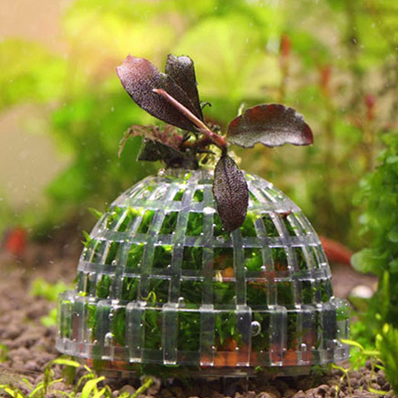 1個入り 水生ペット用品 デコレーション アクアリウム モス - Planted Aquarium Moss のレビューと価格