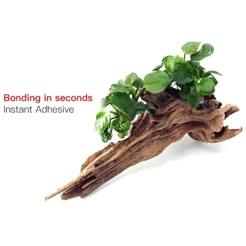 2個/5個セット /3/ モスクリアグルー サンゴ石用 1. - Planted Aquarium Moss のレビューと価格