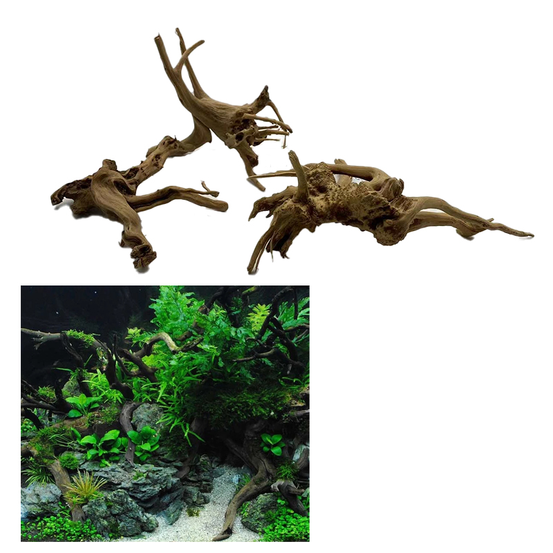 天然木の幹流木水族館の水槽植物木の装飾飾り水槽の装飾水槽アク - Aquarium Plant Root Tabs のレビューと価格