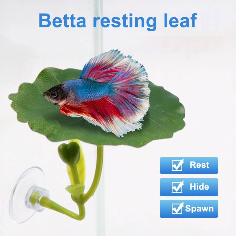 グリーンリーフハンモック ベタ魚用 ストレス軽減 水槽に安全 - Planted Aquarium Betta のレビューと価格