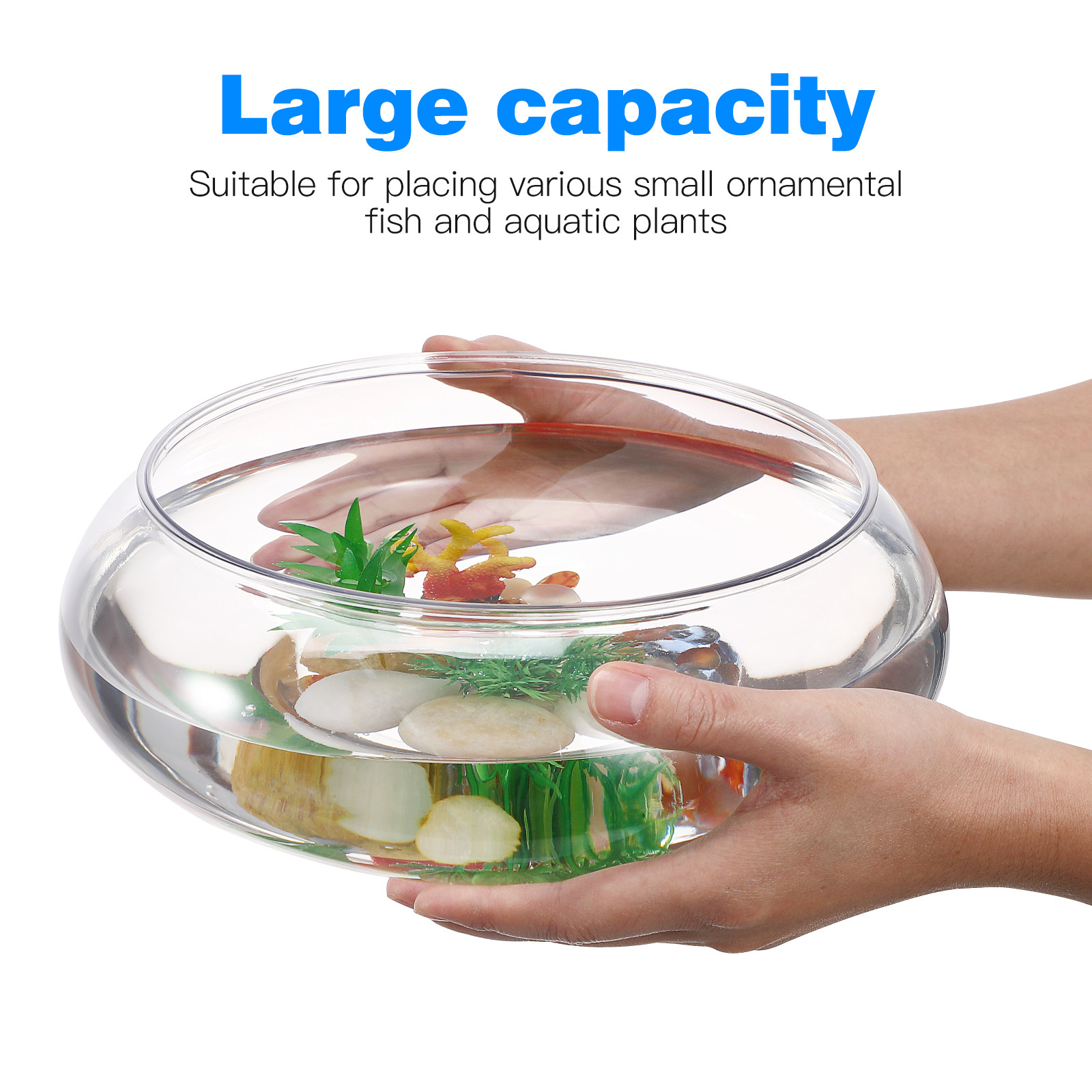 2800ml 透明デスクトップ水槽 プラスチック製 水族館  - Planted Aquarium Betta のレビューと価格