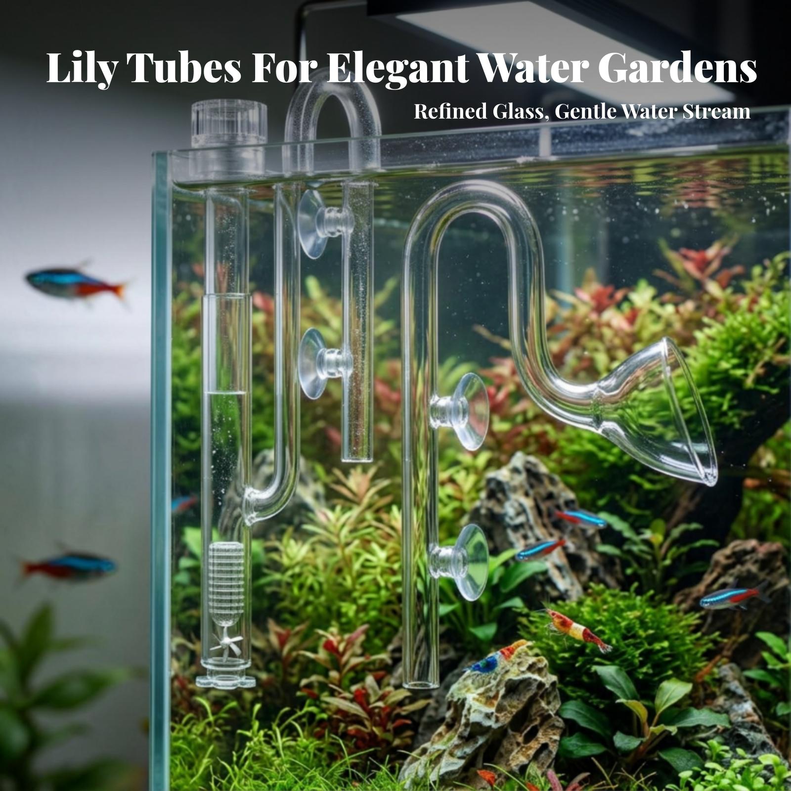水槽フィルターの吸水口と排水口用透明リリーパイプセット、アク - Aquarium Planted Filter のレビューと価格