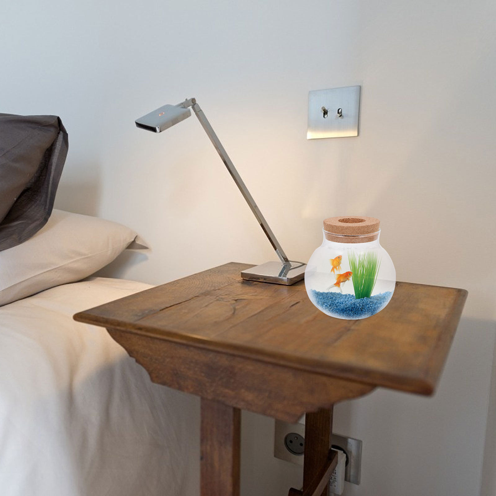 小型マイクロランドスケープ用テラリウムボトル、苔植物用、観賞 - Planted Aquarium Moss のレビューと価格