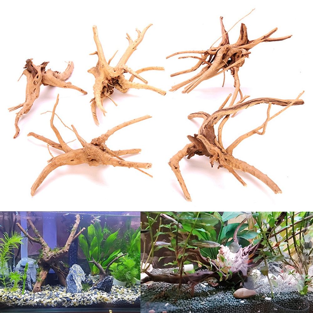 1 個木材天然トランク流木水族館の水槽植物の切り株水族館の水 - Aquarium Plant Root Tabs のレビューと価格