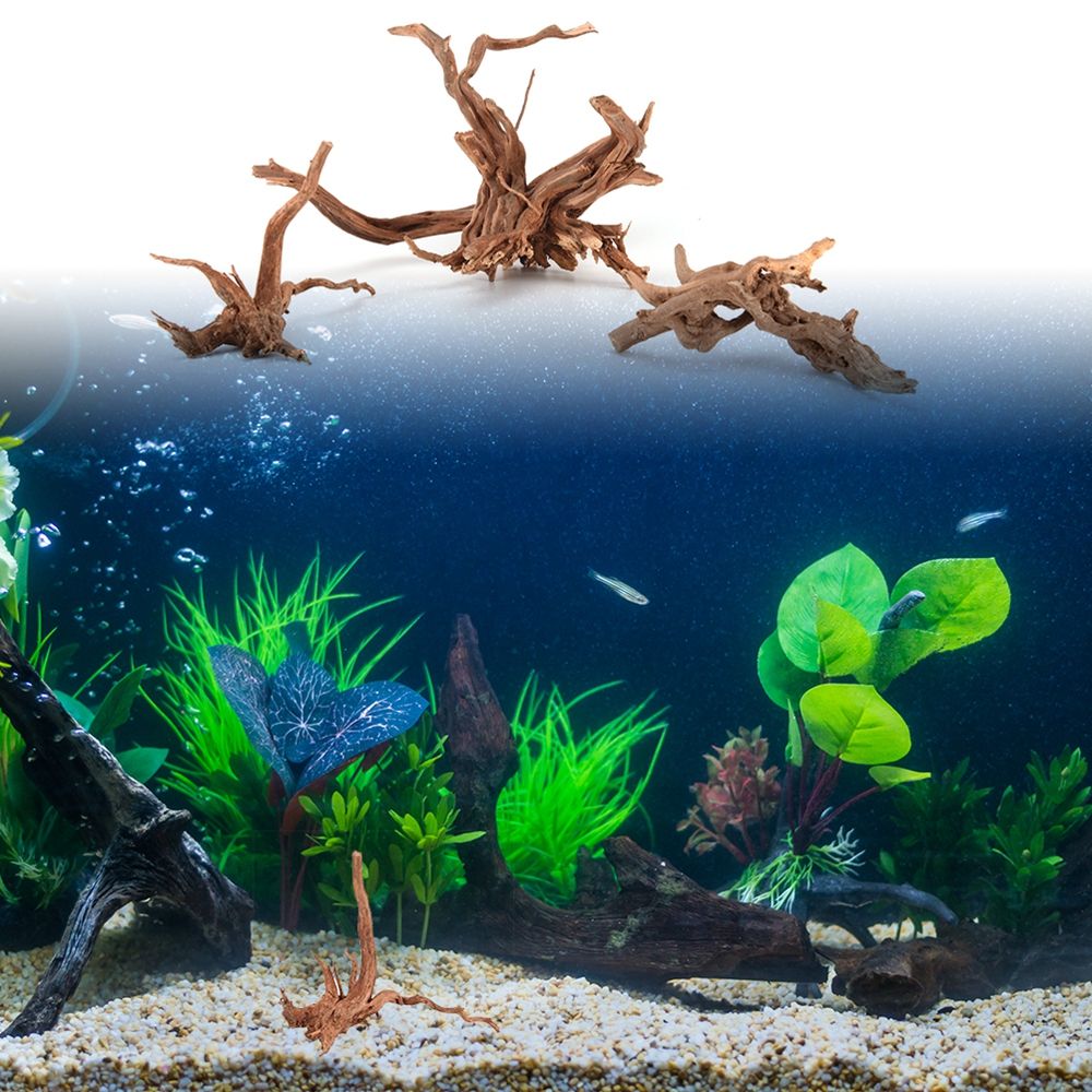 1 個木材天然トランク流木水族館の水槽植物の切り株水族館の水 - Aquarium Plant Root Tabs のレビューと価格