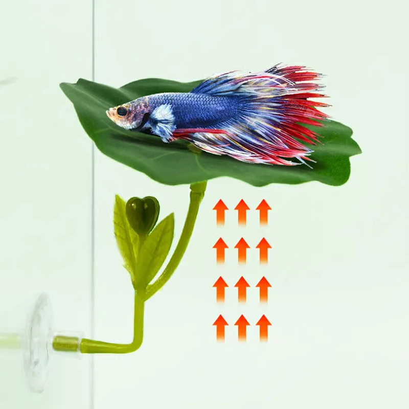 (Ce14)1/5個入り、緑色の葉っぱのハンモック。ベタ魚用 - Planted Aquarium Betta のレビューと価格