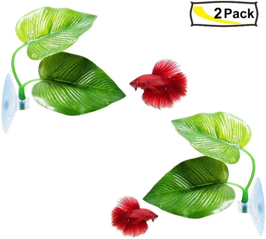 ベタ魚の葉のハンモックは、ベタの産卵繁殖のための自然の生息地 - Planted Aquarium Betta のレビューと価格