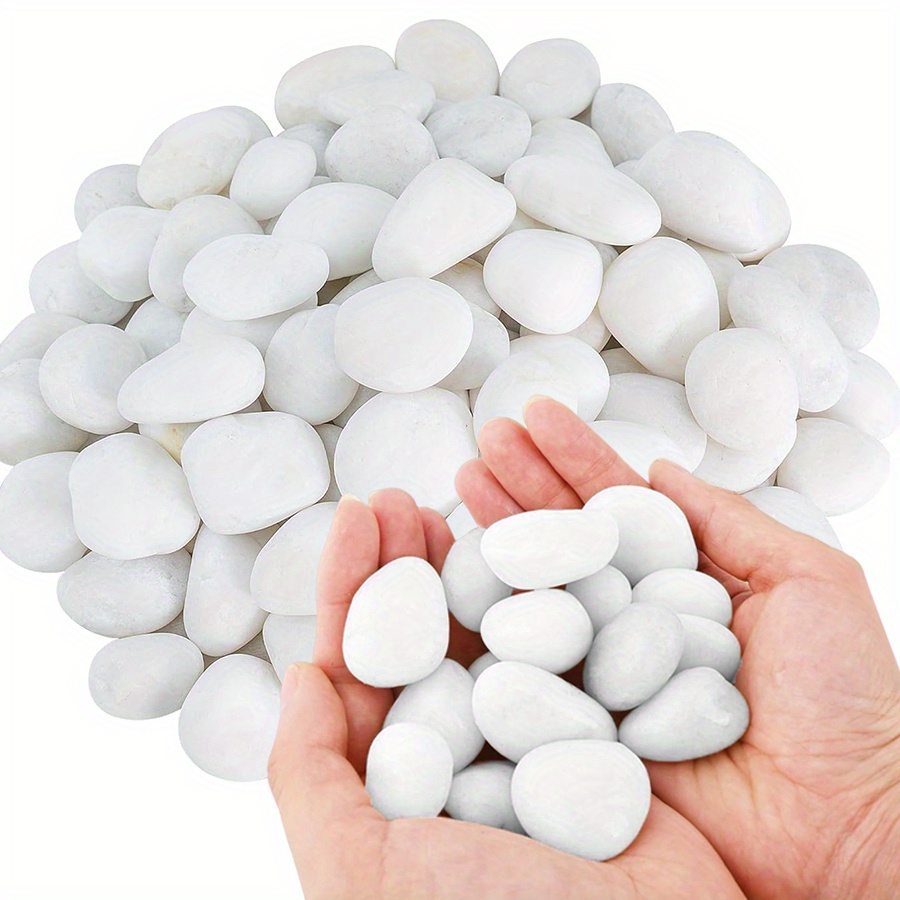 200/400g ホワイト高研磨天然玉石 2-3cm 中庭景 - Aquarium Planted Aquarium のレビューと価格