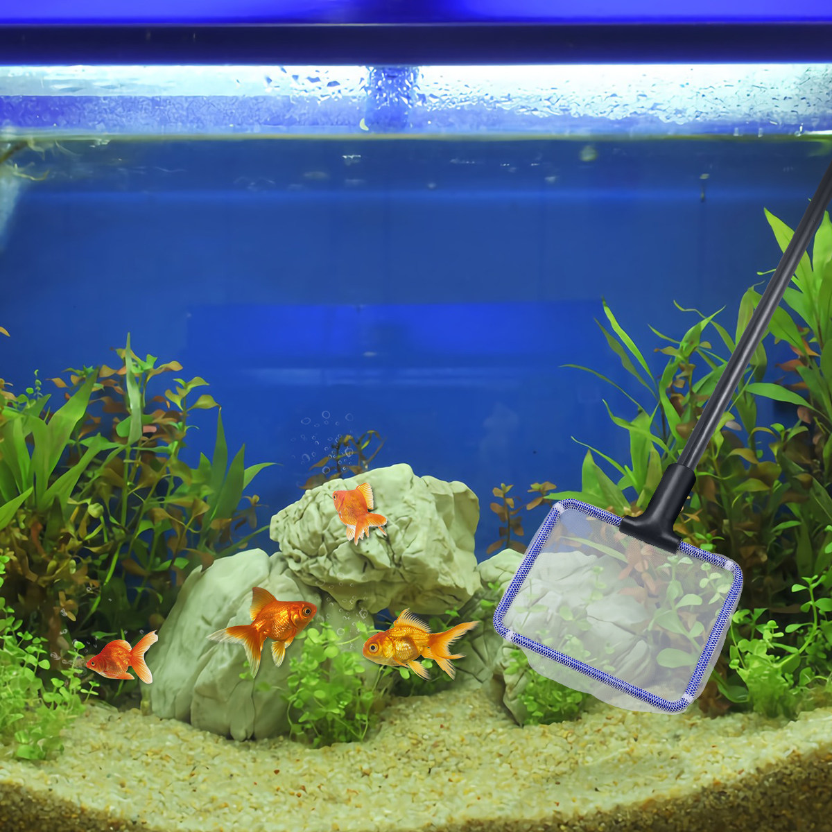水槽清掃キット 5-in-1：水槽用ガラスクリーナー、藻除去 - Planted Aquarium Cleaning Kit のレビューと価格