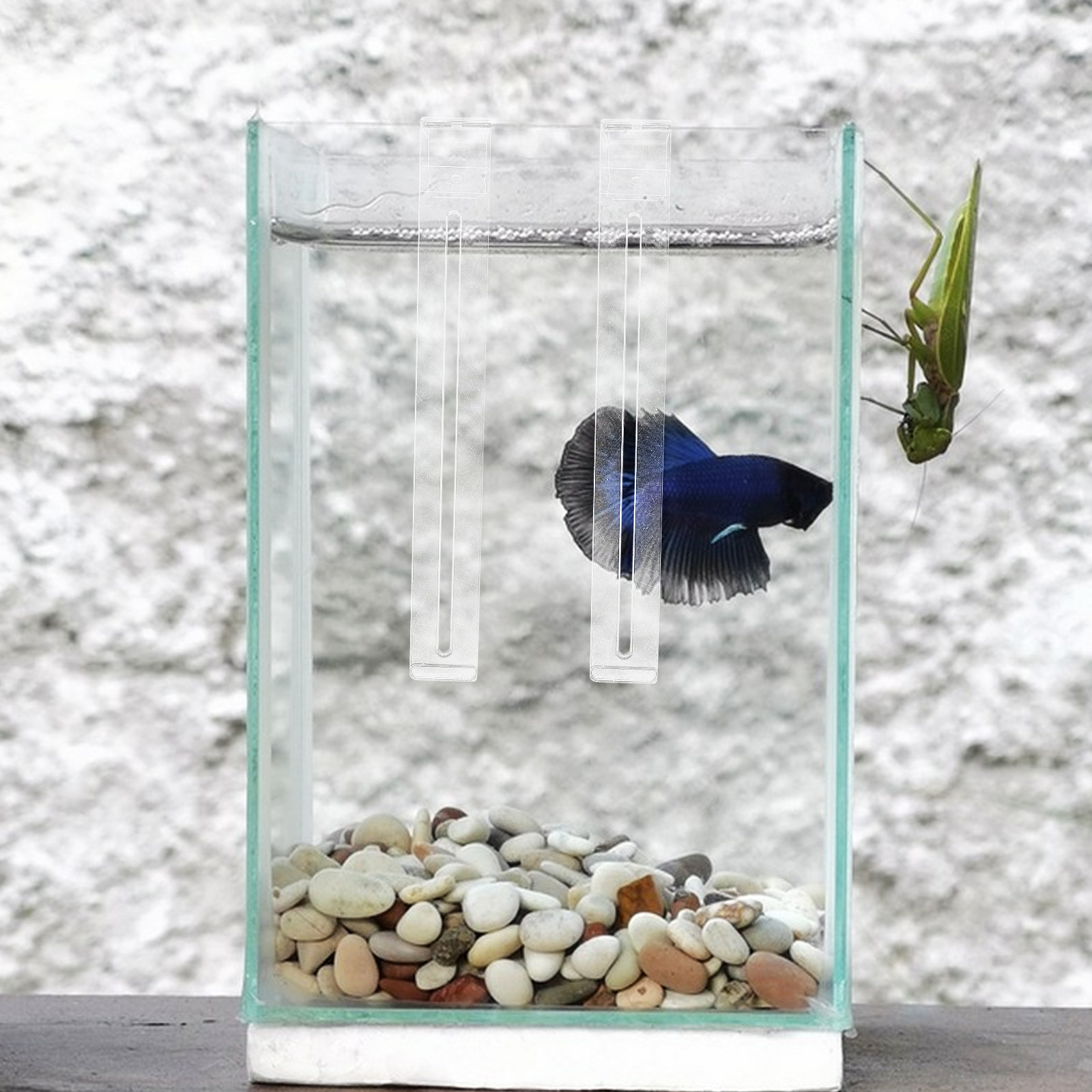 2個入り、省スペースで透明な水槽用フック。簡単に取り付け可能 - Planted Aquarium Betta のレビューと価格