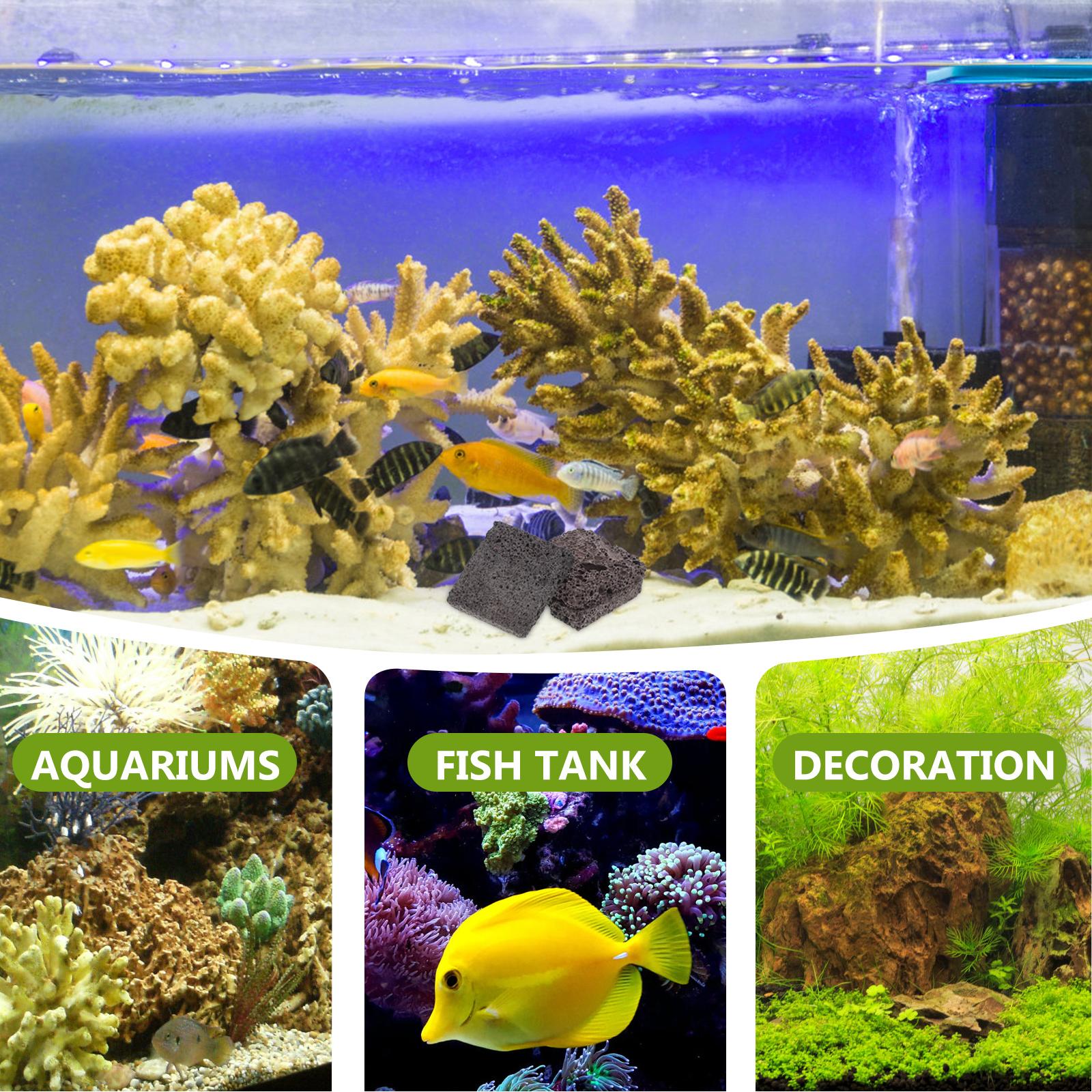   3 個水生植栽フィルム水族館岩洞窟淡水装飾エビルートタブ - Aquarium Plant Root Tabs のレビューと価格