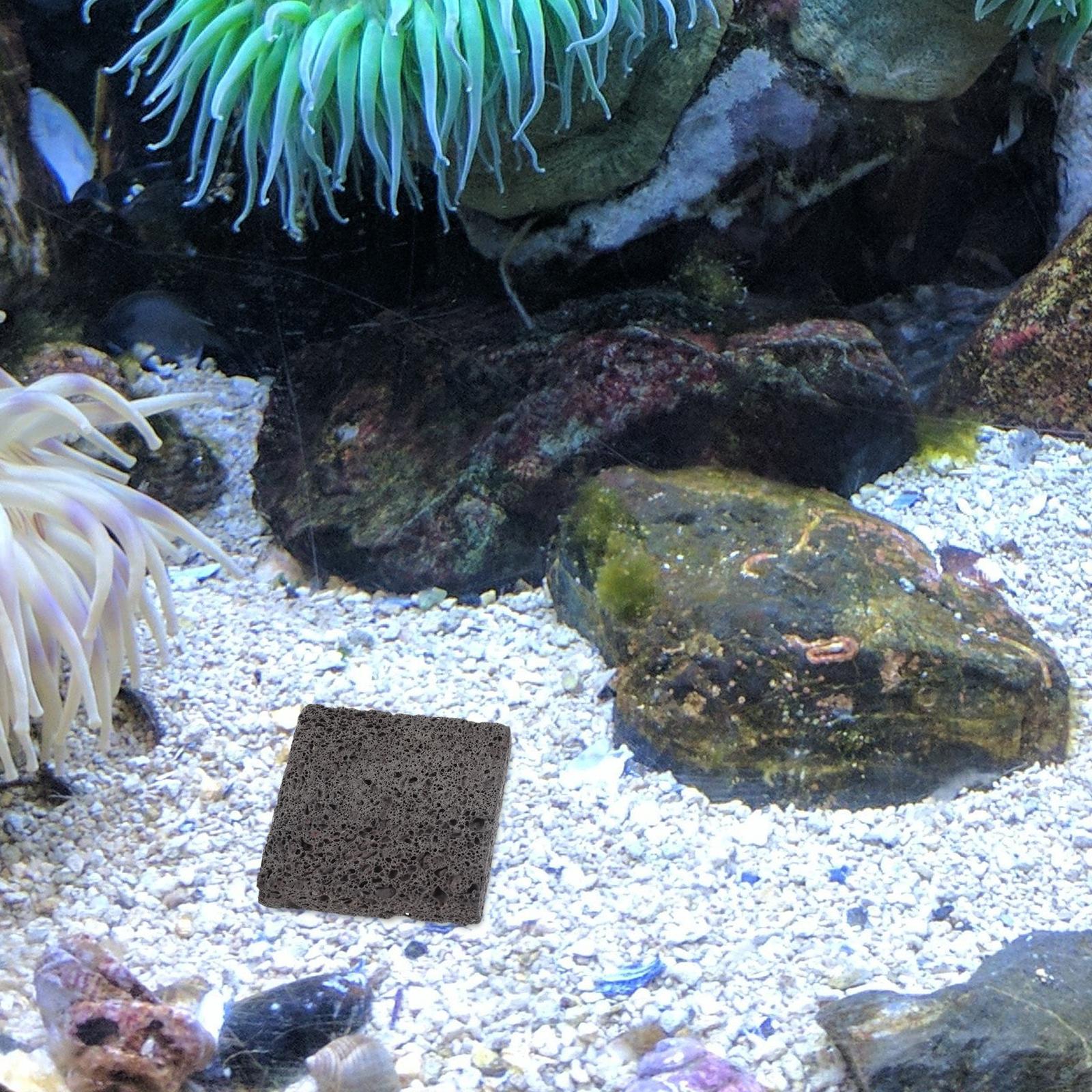   3 個水生植栽フィルム水族館岩洞窟淡水装飾エビルートタブ - Aquarium Plant Root Tabs のレビューと価格