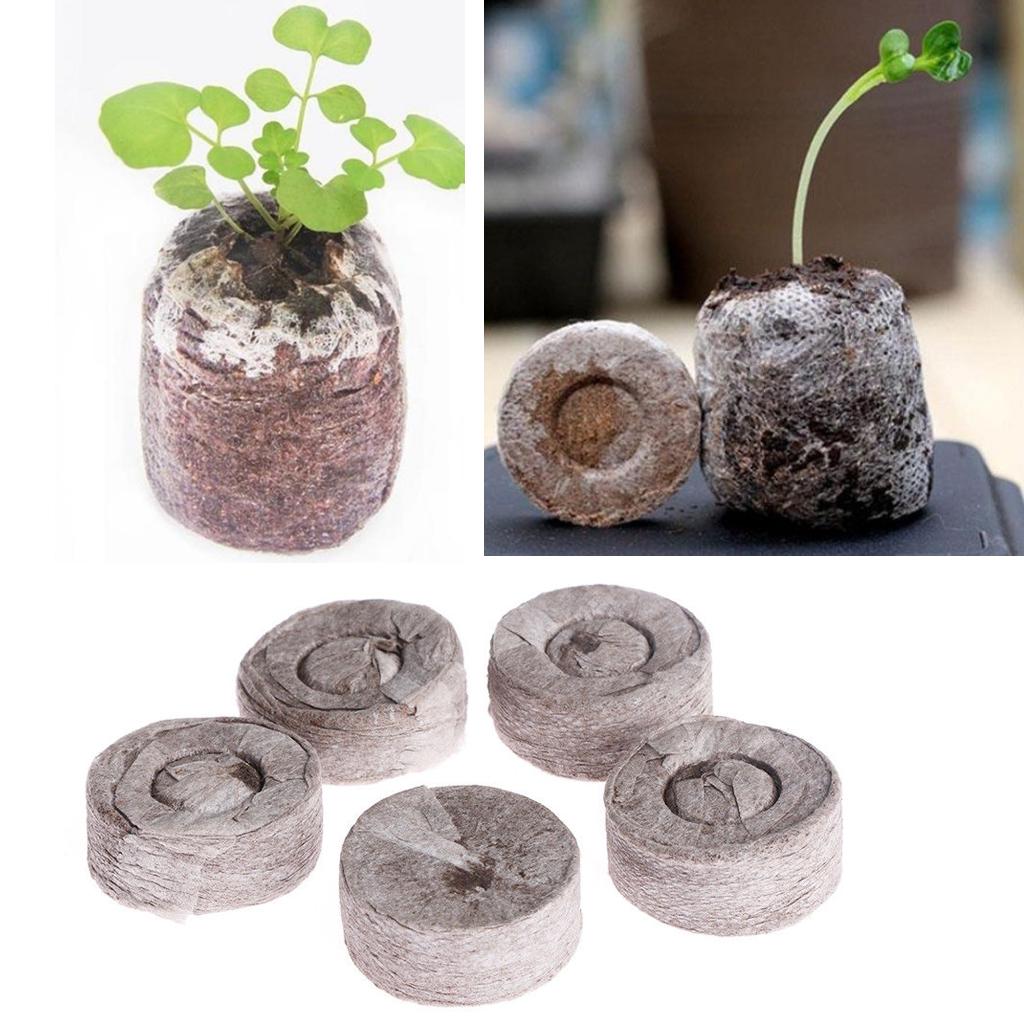 ピートペレット種子育成プラグ、育苗ブロック、園芸用土壌ブロッ - Tissue Culture Plant のレビューと価格