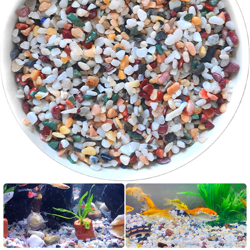 天然砂利石 200 〜 1000 グラムマイクロ風景庭園水槽 - Planted Aquarium With Sand のレビューと価格