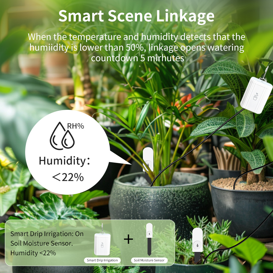 スマートZigbee 3.0土壌テスター、植物・庭園用湿度・ - Tissue Culture Plant のレビューと価格