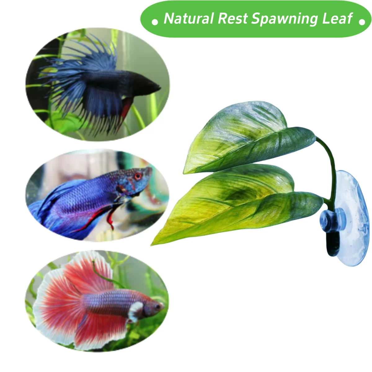 ペット水槽装飾 ベタ用 リラックス プレイプランツ 葉っぱ  - Planted Aquarium Betta のレビューと価格
