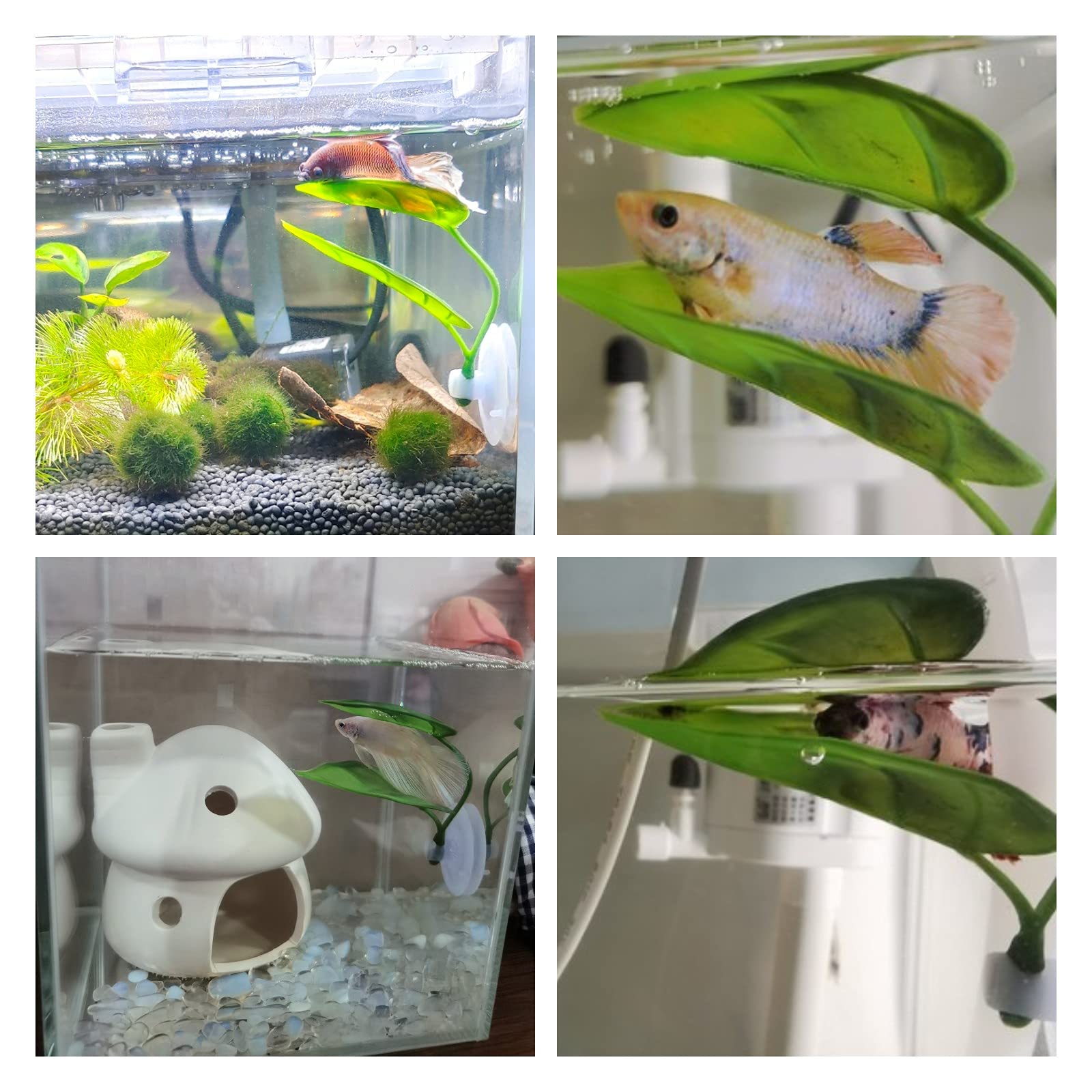 ペット水槽装飾 ベタ用 リラックス プレイプランツ 葉っぱ  - Planted Aquarium Betta のレビューと価格