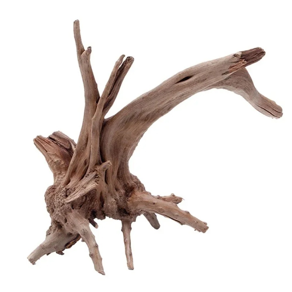 1PC 天然木の幹流木 A タンク爬虫類 2026Roots - Aquarium Plant Root Tabs のレビューと価格