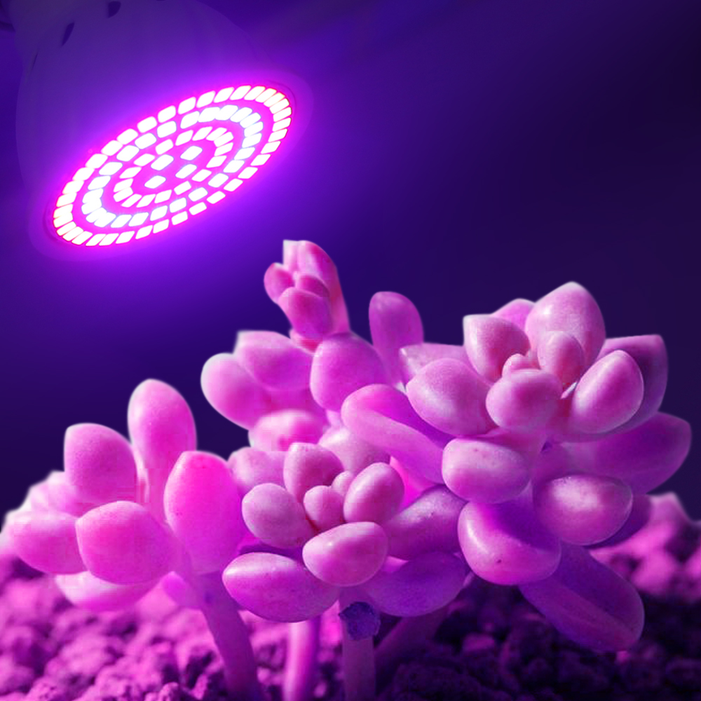 Led 成長電球 220V E27 60 80LED フルス - Aquarium Plant Root Tabs のレビューと価格