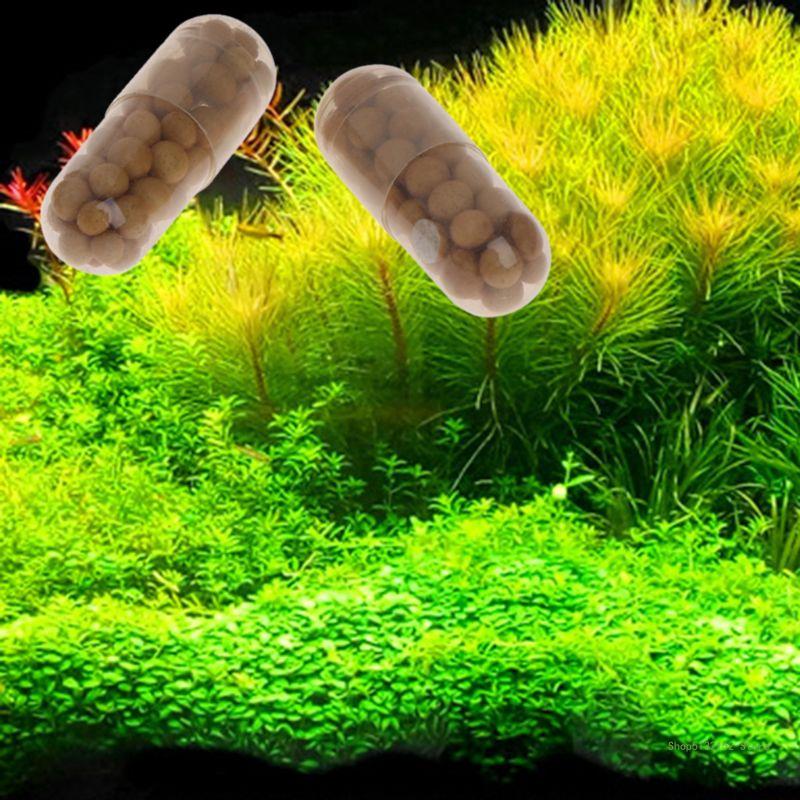 QX2E 水族館生きた植物肥料ルートタブ数量 40 カプセル - Aquarium Plant Root Tabs のレビューと価格