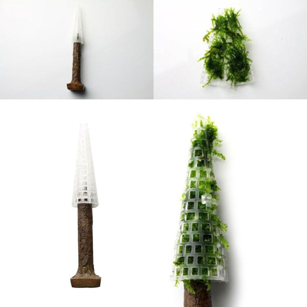 シミュレーションクリスマスツリー水槽モス植物ホルダーミニツリ - Planted Aquarium Moss のレビューと価格