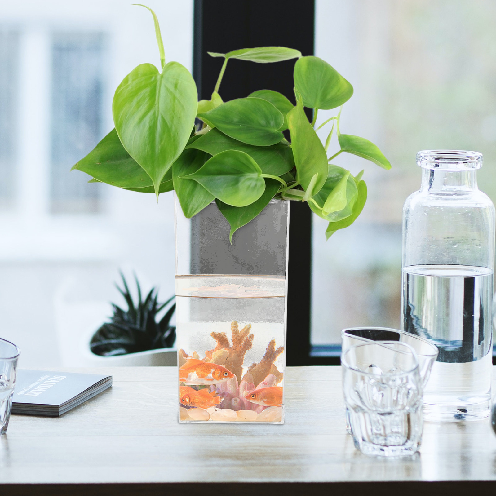 小型の魚やベタ、水耕栽培植物、ミニチュア風景を飾るのに最適な - Planted Aquarium Betta のレビューと価格