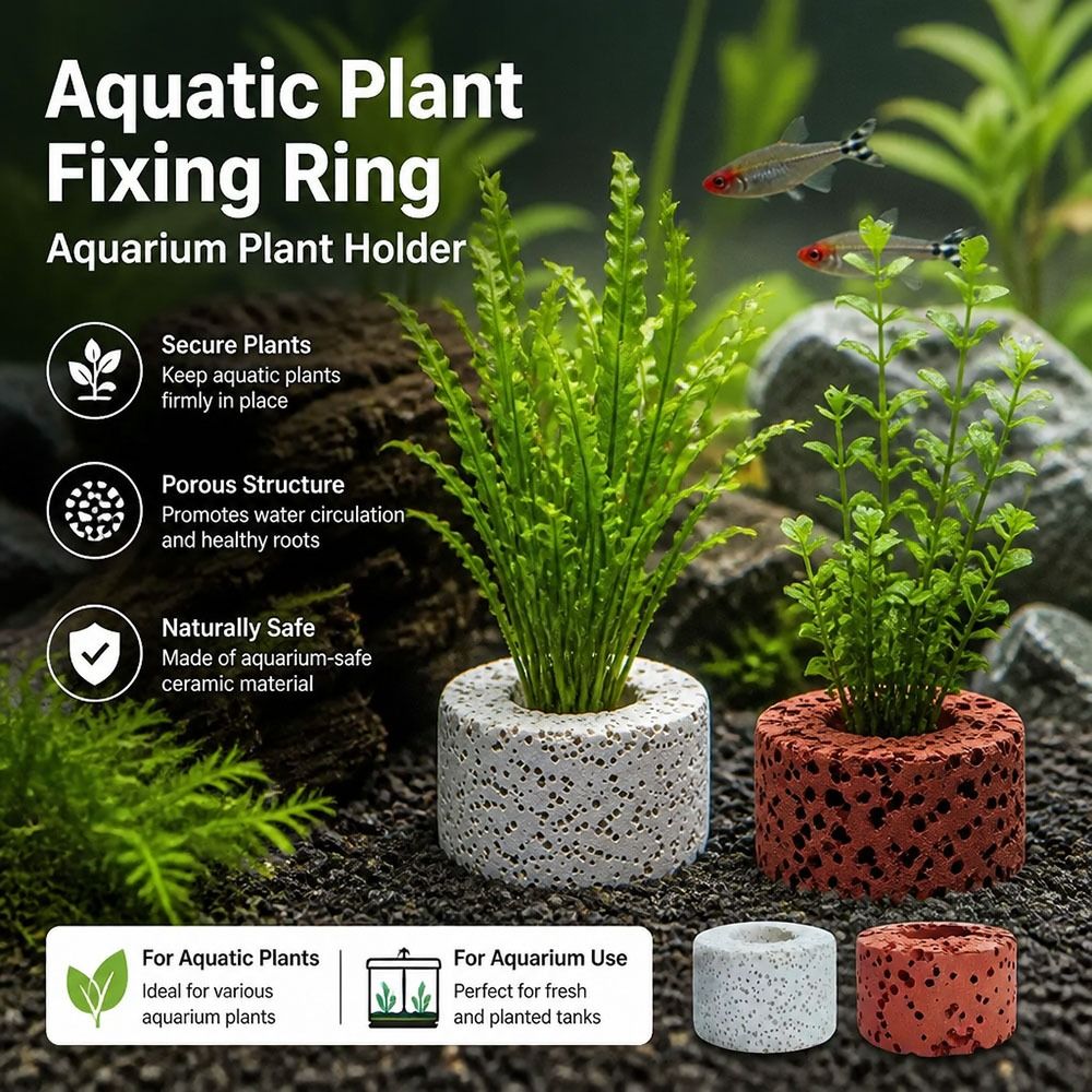 10 個の加重リング水生植物固定リング基材リング写真に示され - Planted Aquarium Pictures のレビューと価格