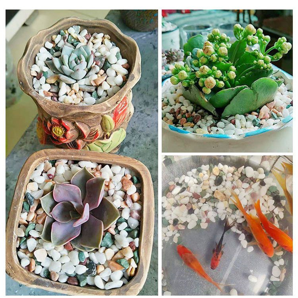 100g 天然水晶砂利石 マイクロランドスケープ ガーデン  - Planted Aquarium With Sand のレビューと価格