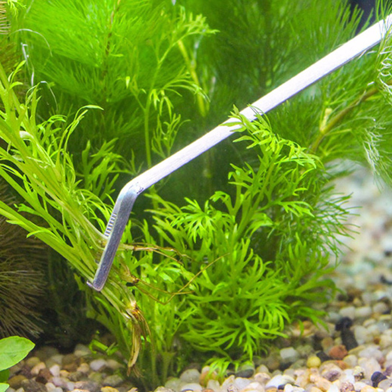 プロ仕様の水槽メンテナンス用クリーニングツールキット。ピンセ - Planted Aquarium Cleaning Kit のレビューと価格