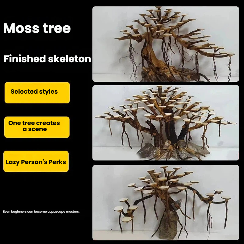 水槽造景用モスツリースケルトン仕上げ済み流木シャクナゲ根飾り - Planted Aquarium Moss のレビューと価格