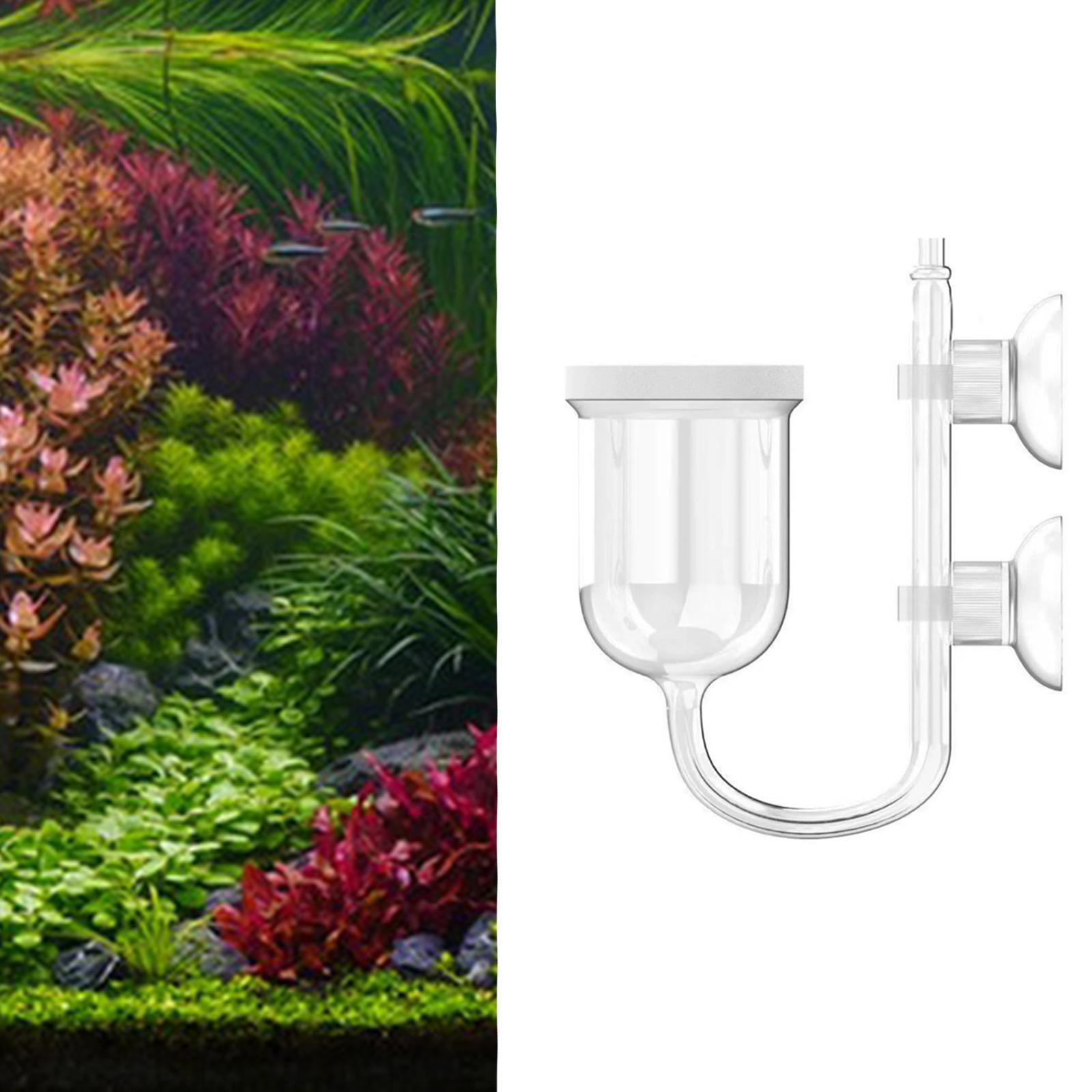 ガラス製CO2ディフューザー（クリア）吸盤と気泡計付き 水槽 - Planted Aquarium Co2 System のレビューと価格